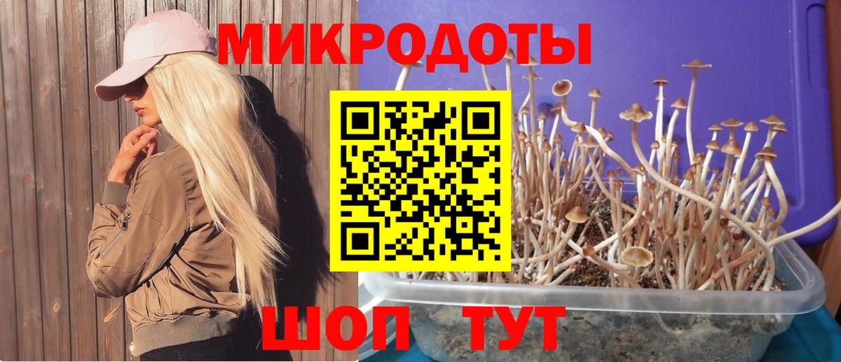 Нижнеудинск  Псилоцибиновые грибы ЛСД  Псилоцибиновые грибы Psilocybe  Вход с VPN 