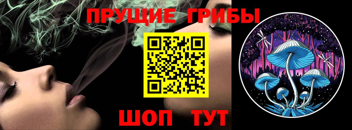 Галлюциногенные грибы Psilocybine cubensis Нижнеудинск